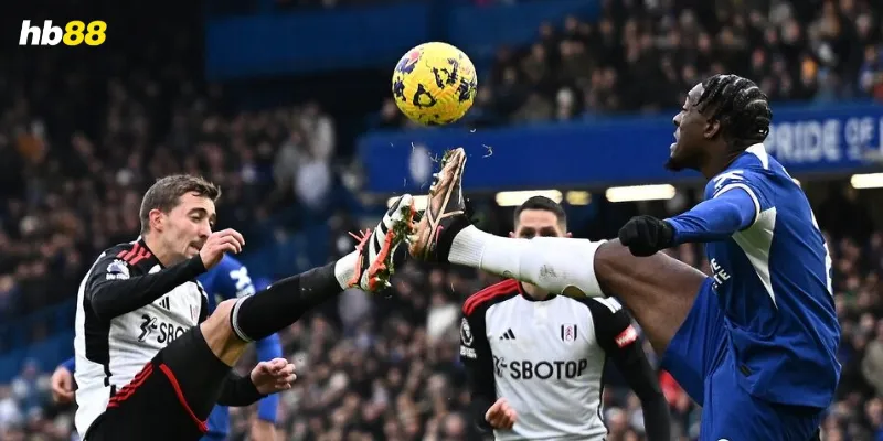 Dự đoán kết quả và tỷ số trận Fulham vs Everton 10/05/2025