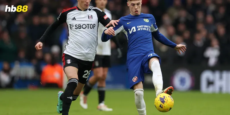 Thông tin trận Fulham vs Everton 10/05/2025