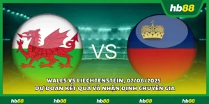 Wales vs Liechtenstein 1 13 11zon